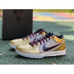 NIKE IV PROTRO FQ3544 100